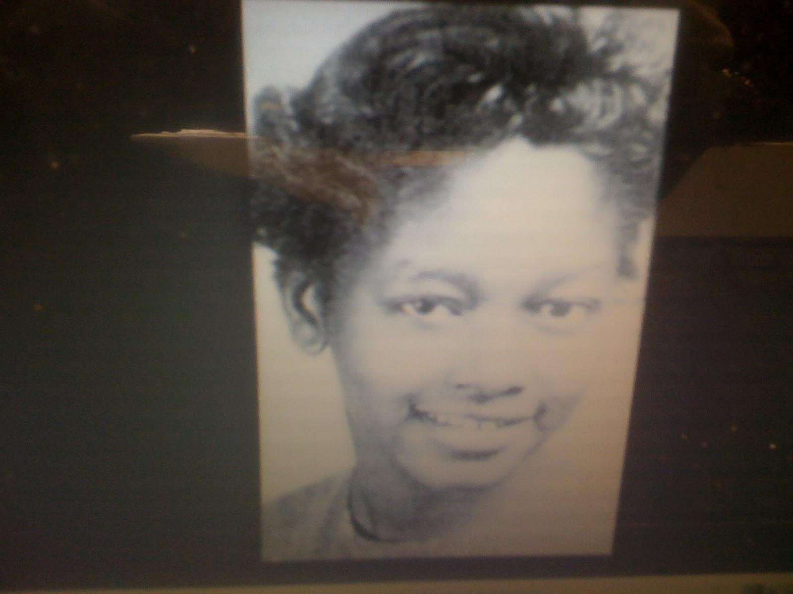 THE BLACK SOCIAL HISTORY BLACK SOCIAL HISTORY AFRICAN AMERICAN