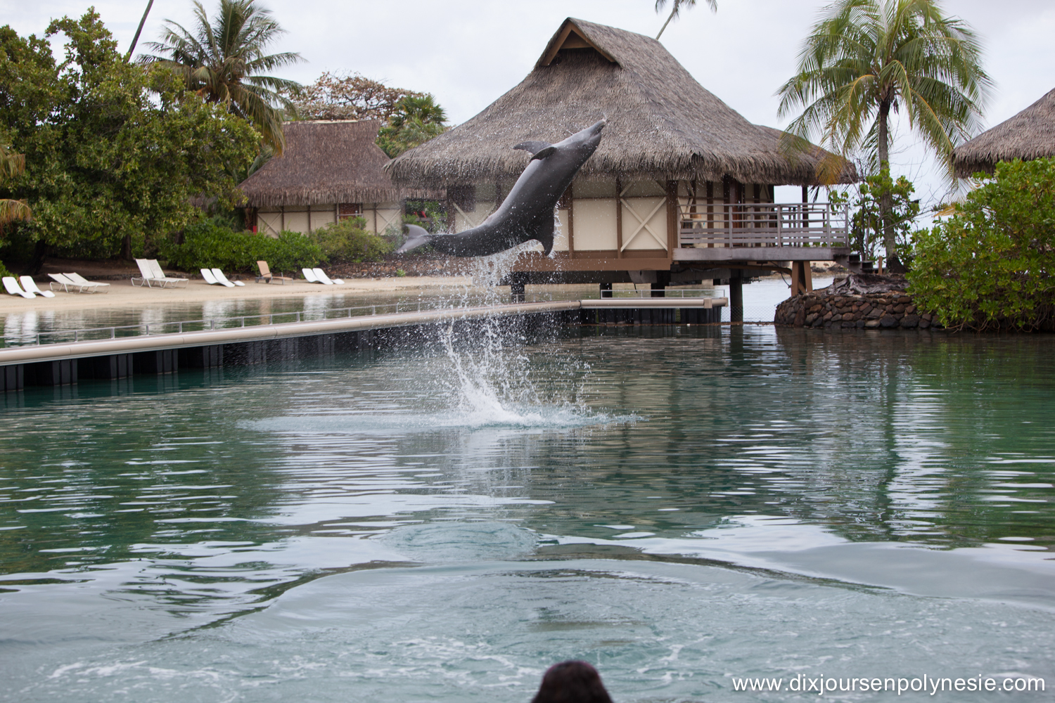 faire des rencontres de nos jours