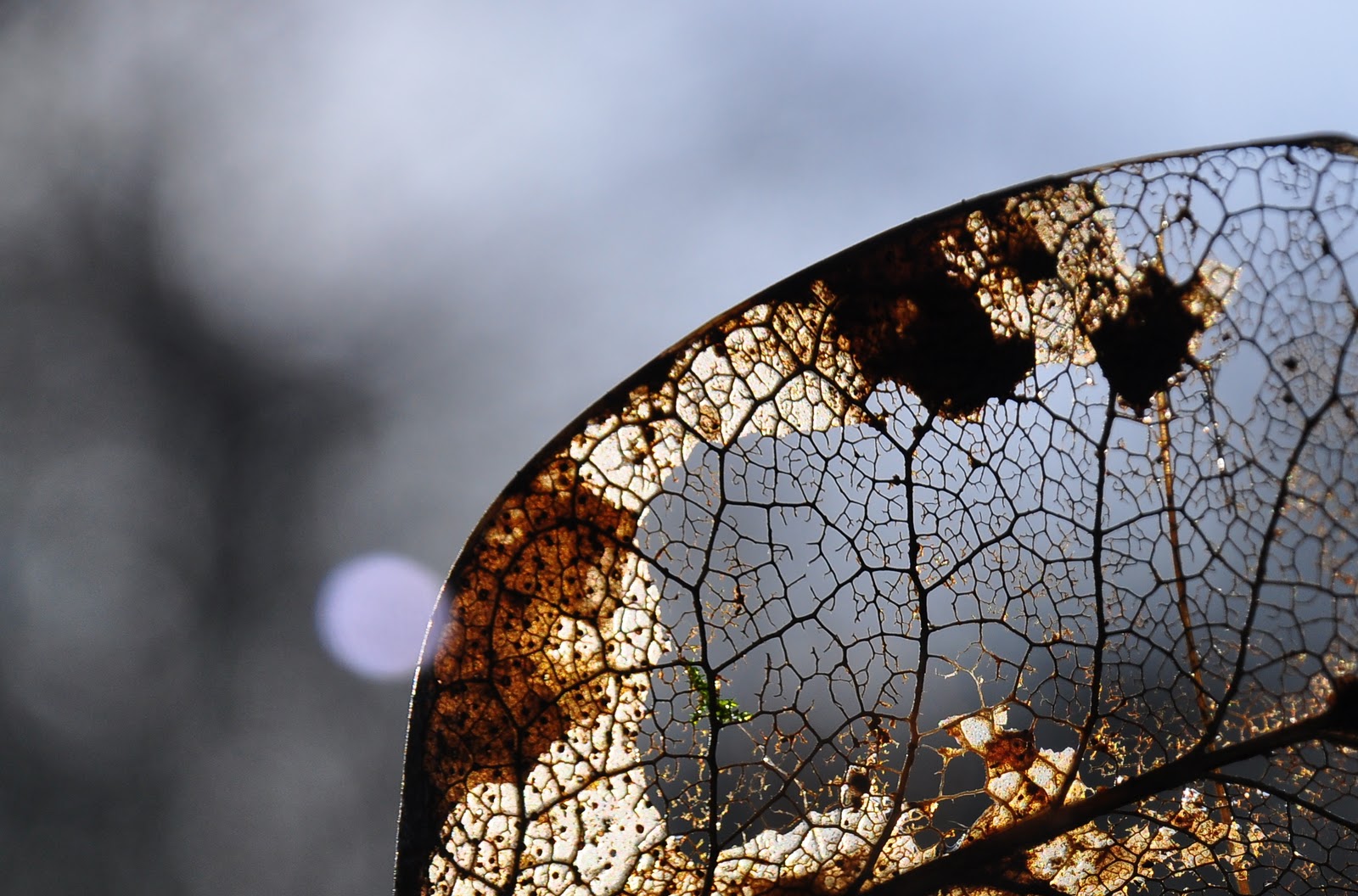 Pickle and flux Etching sterling silver tutorial