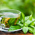 Hierbas medicinales para cuidar el colon