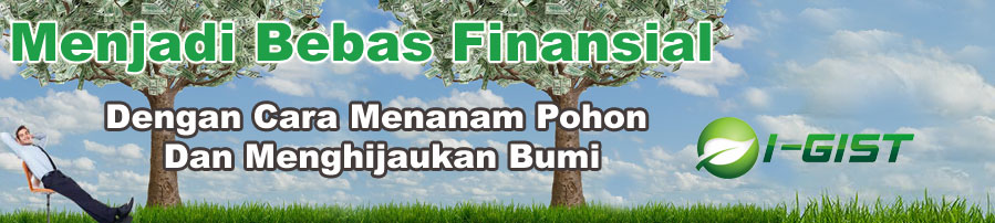 Investasi Pohon Jabon | Bisnis Kayu Jabon | Investasi Pembawa Berkah Bagi Anda, Sesama Dan Alam