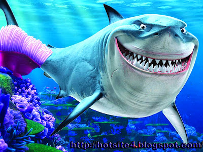 Fish Hd 3D Wallpaper Download Free - 2014 Animal Photos - Beautyfull Fish Desktop Wallpaper 2014