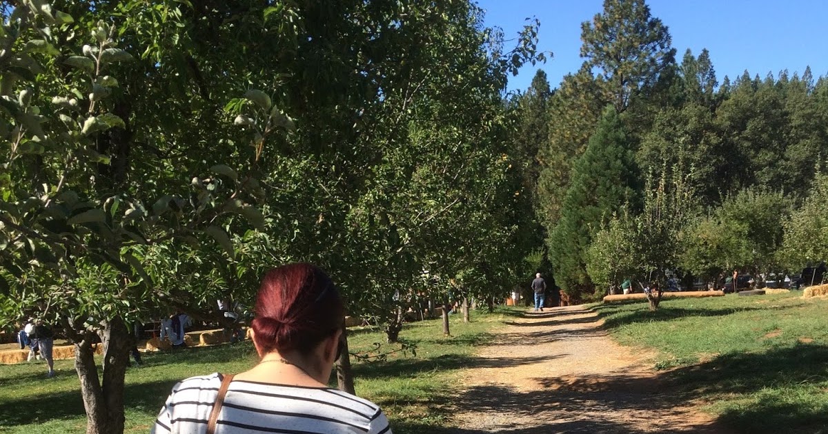 Tourist in my Town Rainbow Orchards / Two Plus Luna