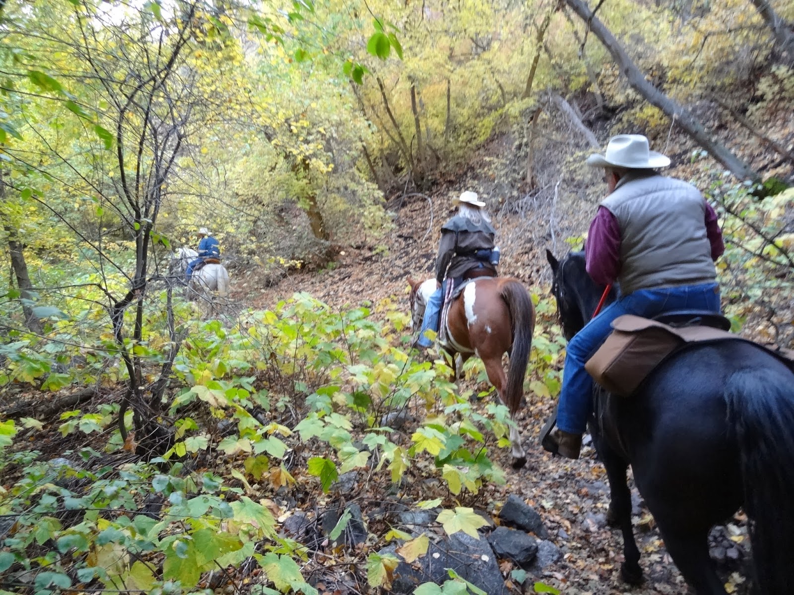 Dream Packer Trail Adventures Holbrook Canyon, Bountiful, Utah
