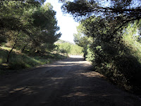 Camino hacia El Llano