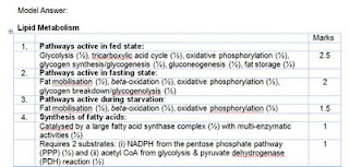 Essay about carbohydrates image