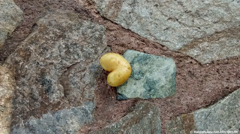 Komische Fragen an ein Kleinkind Runzelfuesschen Komische Fragen an ein Kleinkind Runzelfuesschen