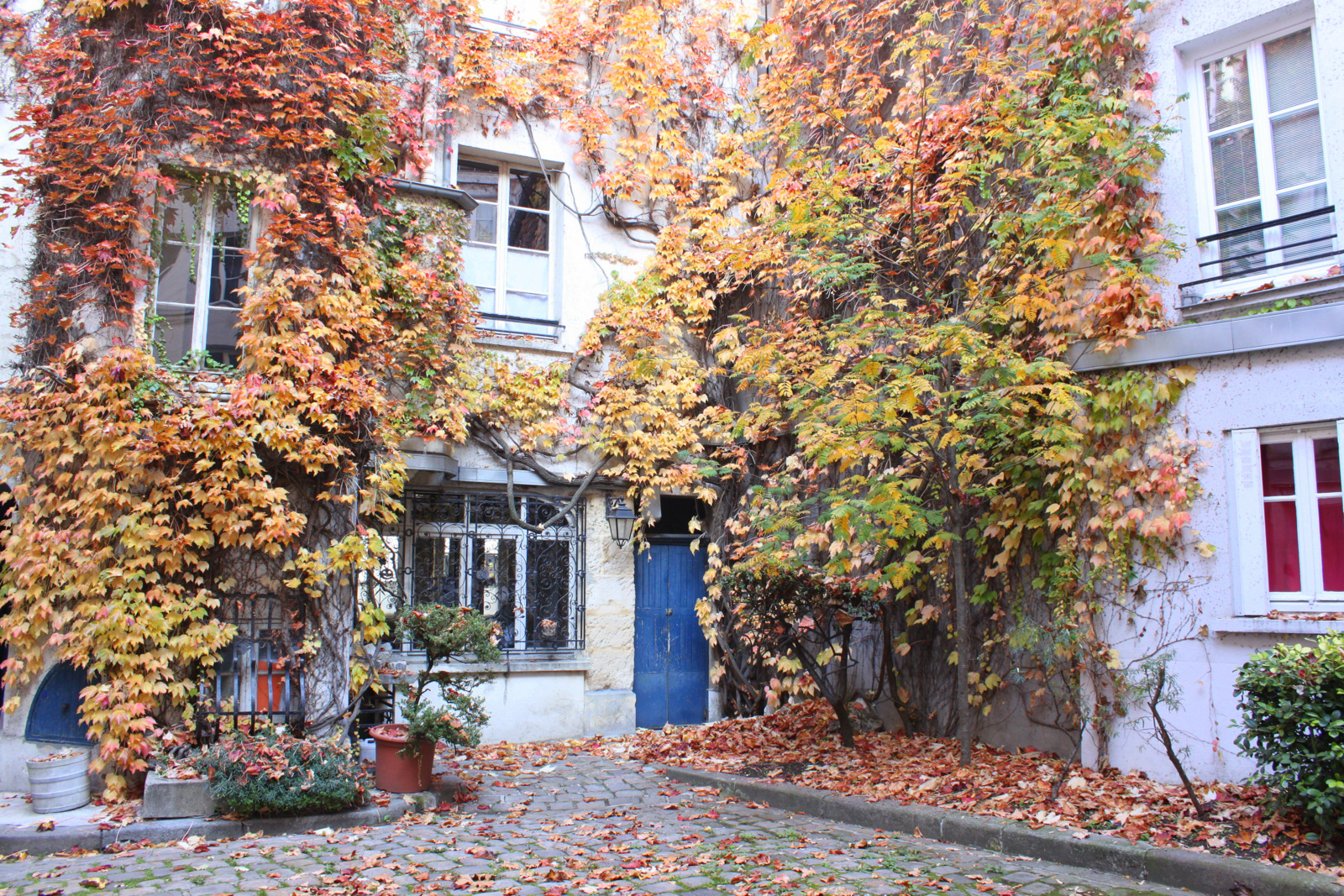 Ile de la Cité - Paris