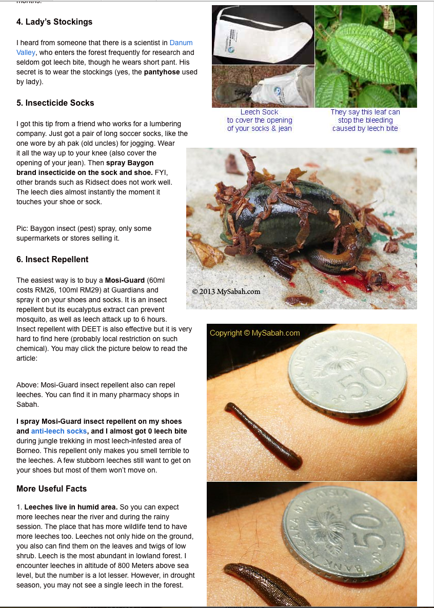 Malaysian Nature Society Kuching Branch How to prevent leech bite?