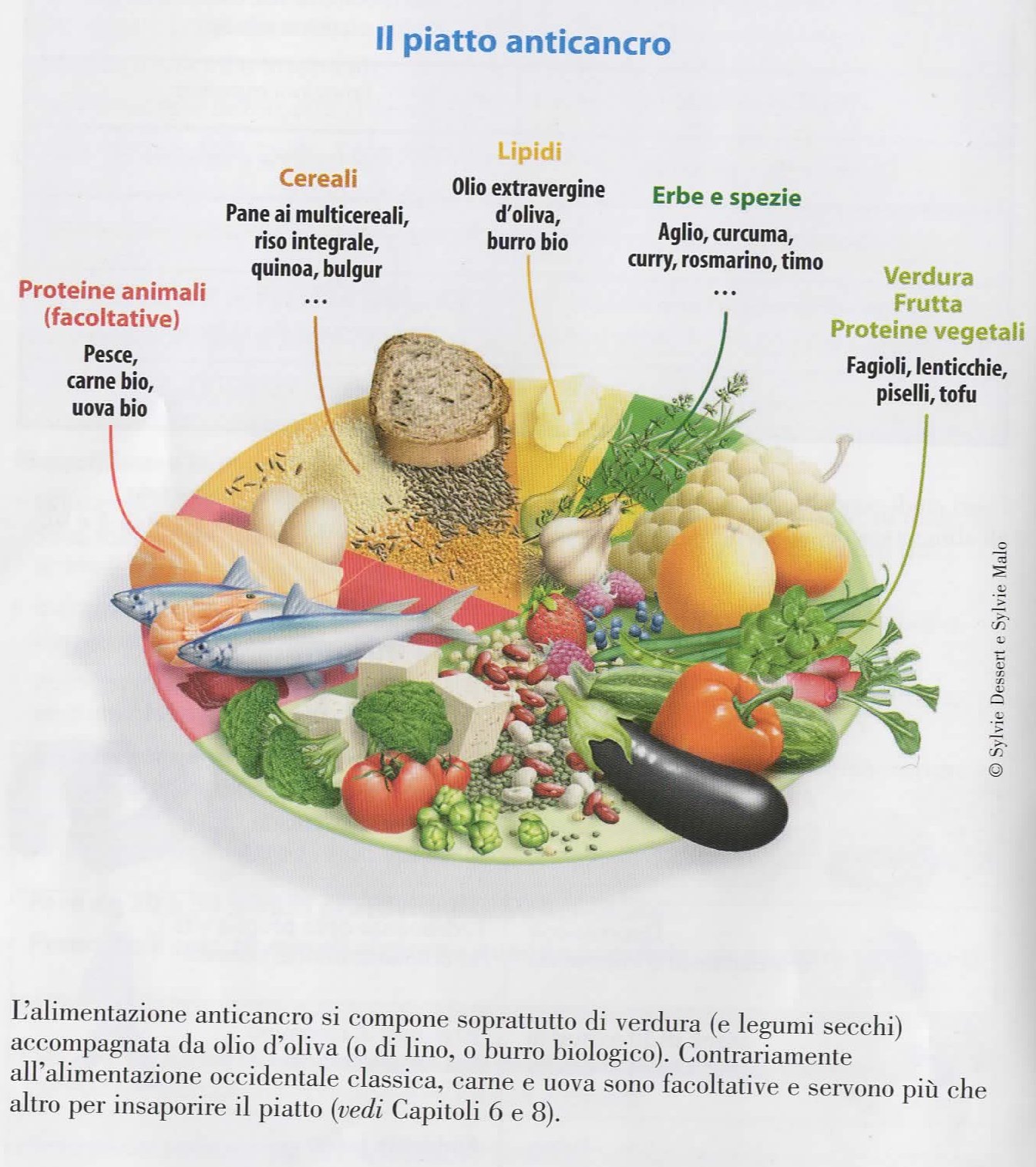 alimentazione anticancro libro alimentazione anticancro libro