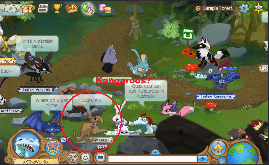 Kangaroo