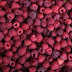 Study : Eating raspberries can enhance fertility