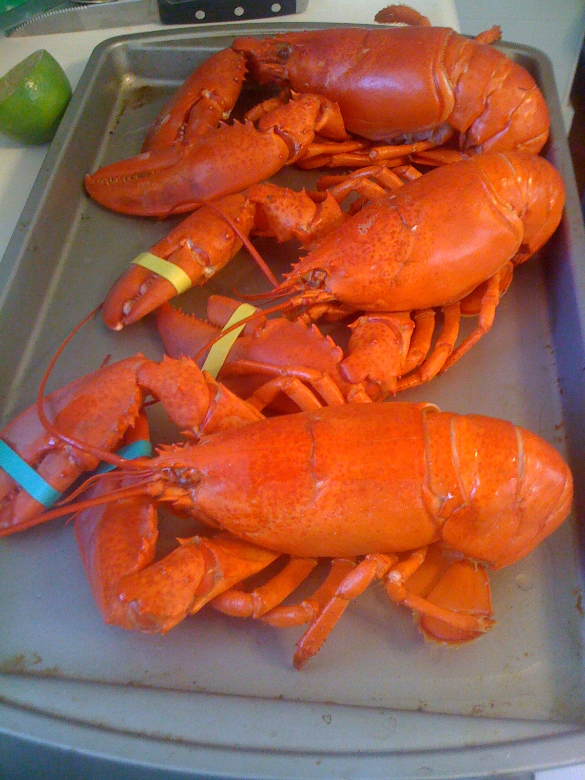I Ate New York City: Steamed Maine Lobster
