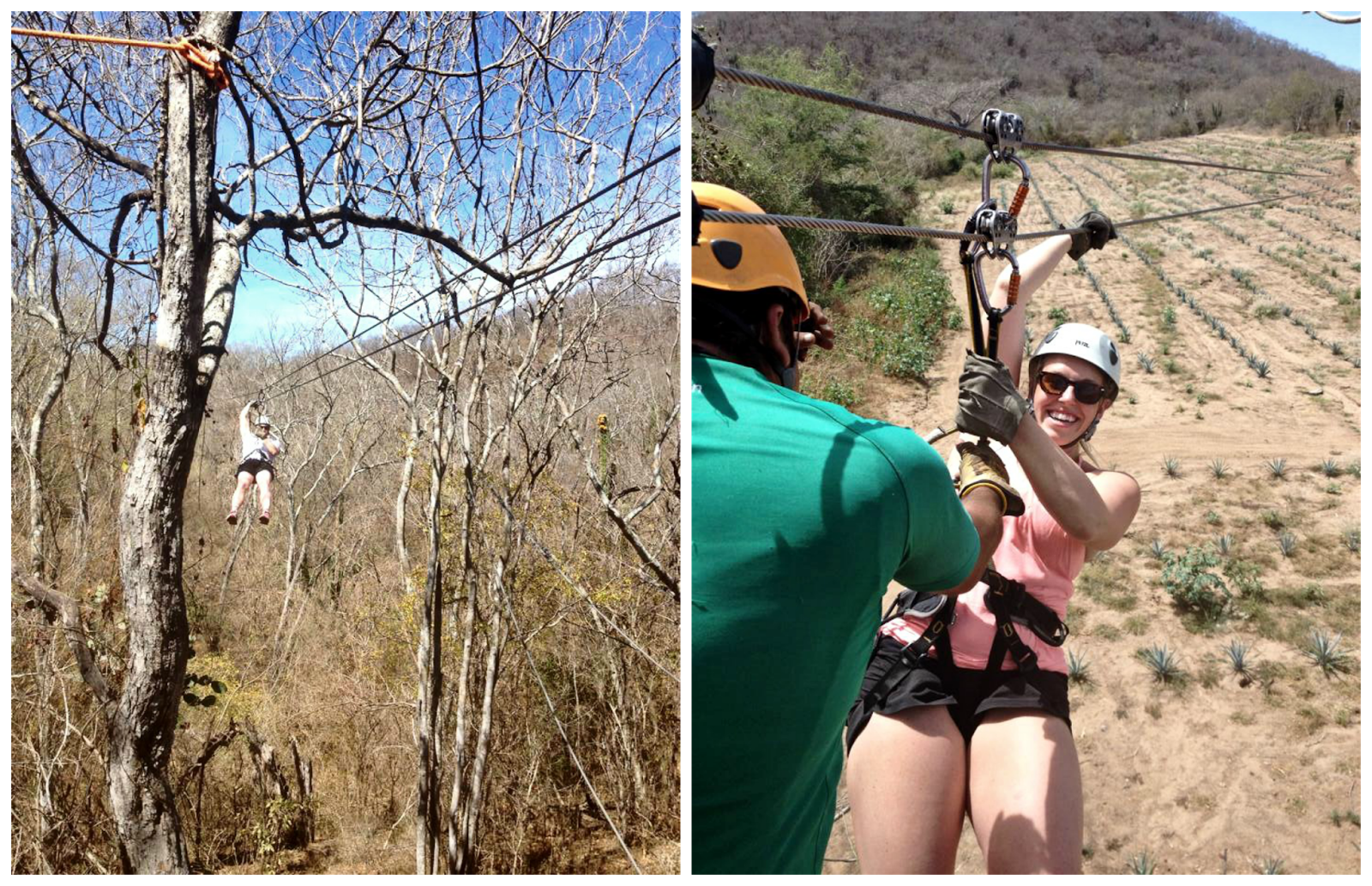 ziplining in mazatlán Loving Life Moore