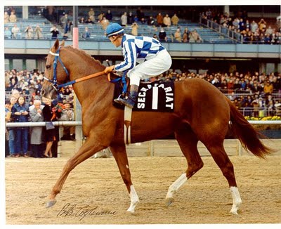 SECRETARIAT...IMPRESIONANTE SU TAMAÑO Y FORTALEZA.