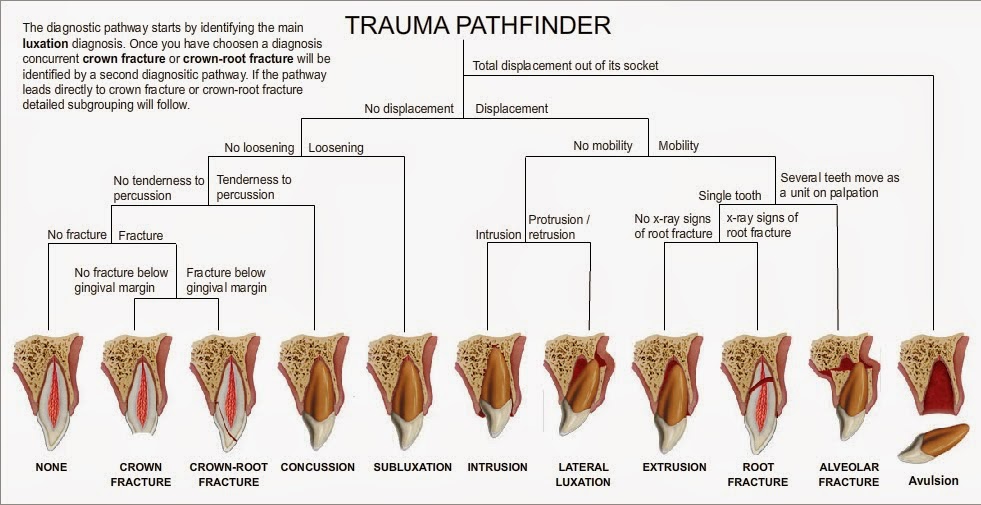 Adult Emergency Medicine Dental Fractures