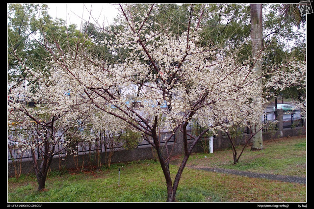 2015-01-14南投市警察局-市內賞梅好地方