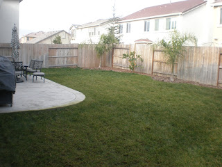 Backyard Pool in Sacramento: Inground Pool Contracting in Sacramento