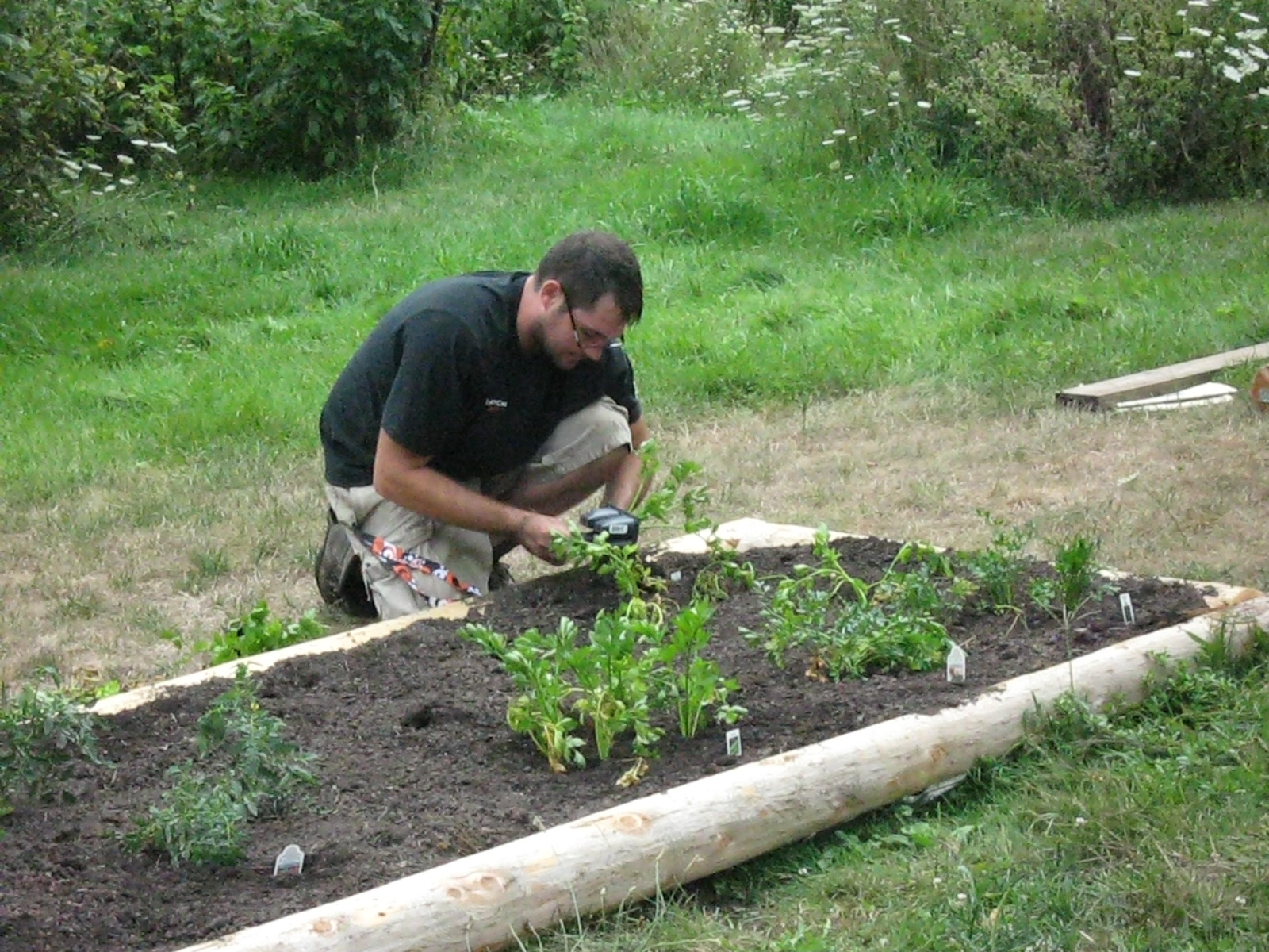 Ridge Berry Farm Blackberries and Raised Beds