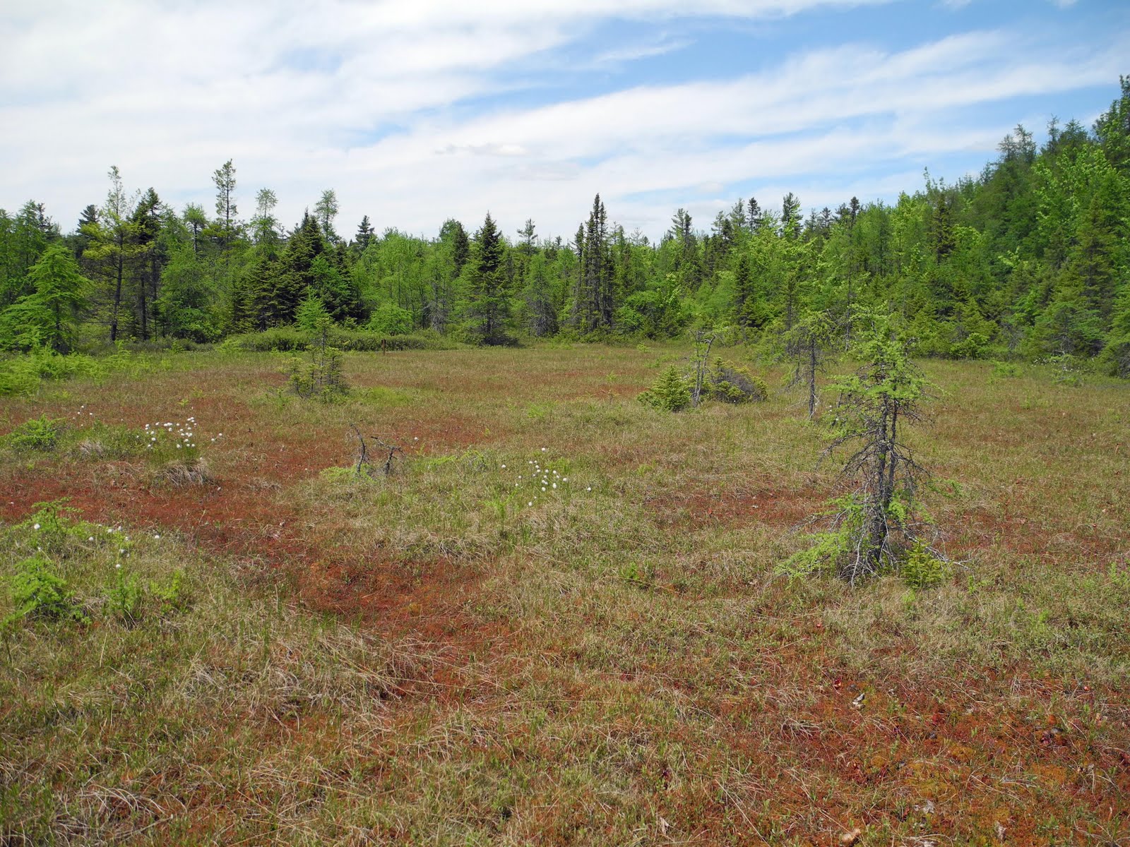 Written In Stone...seen through my lens Walking on Water at the