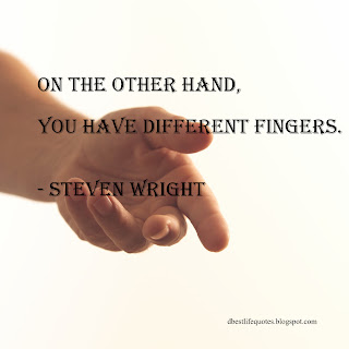 steven wright quotes