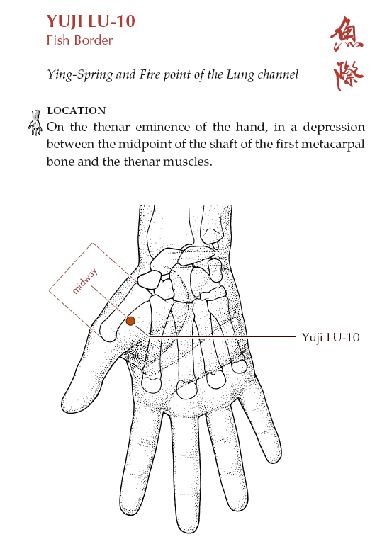 Acupuncture Masters Acupuncture Points Database Lung Channel
