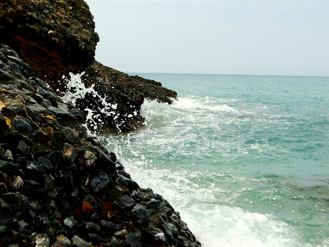 DSC01710.JPG