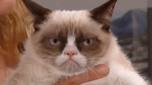 Grumpy Cat Angry Face | Funny Collection World