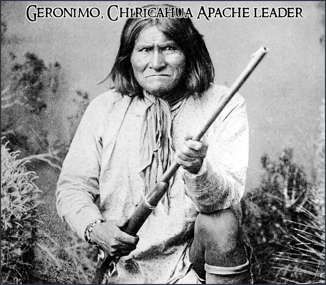 download contracts, elites, and traditions in the making