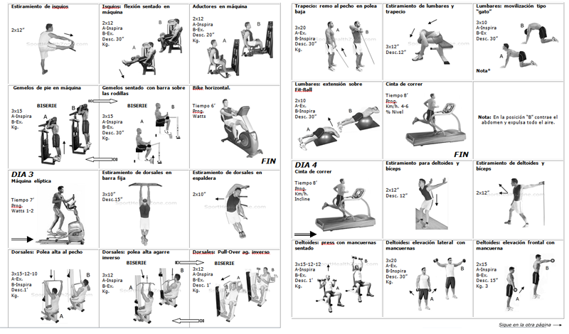 descargar rutinas musculacion pdf viewer