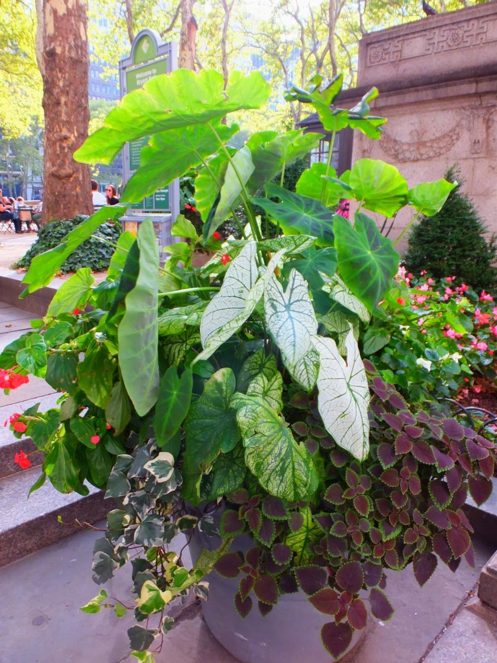 Alternative Eden Exotic Garden Brunch at Bryant Park