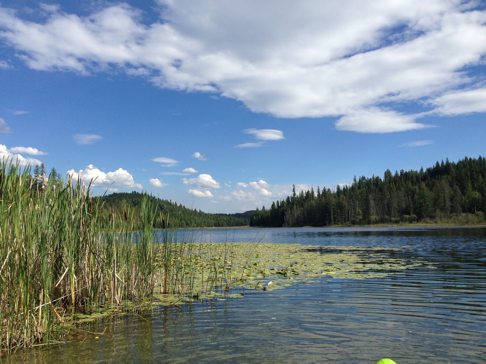 Beauty 4 Ashes Bonner Lake