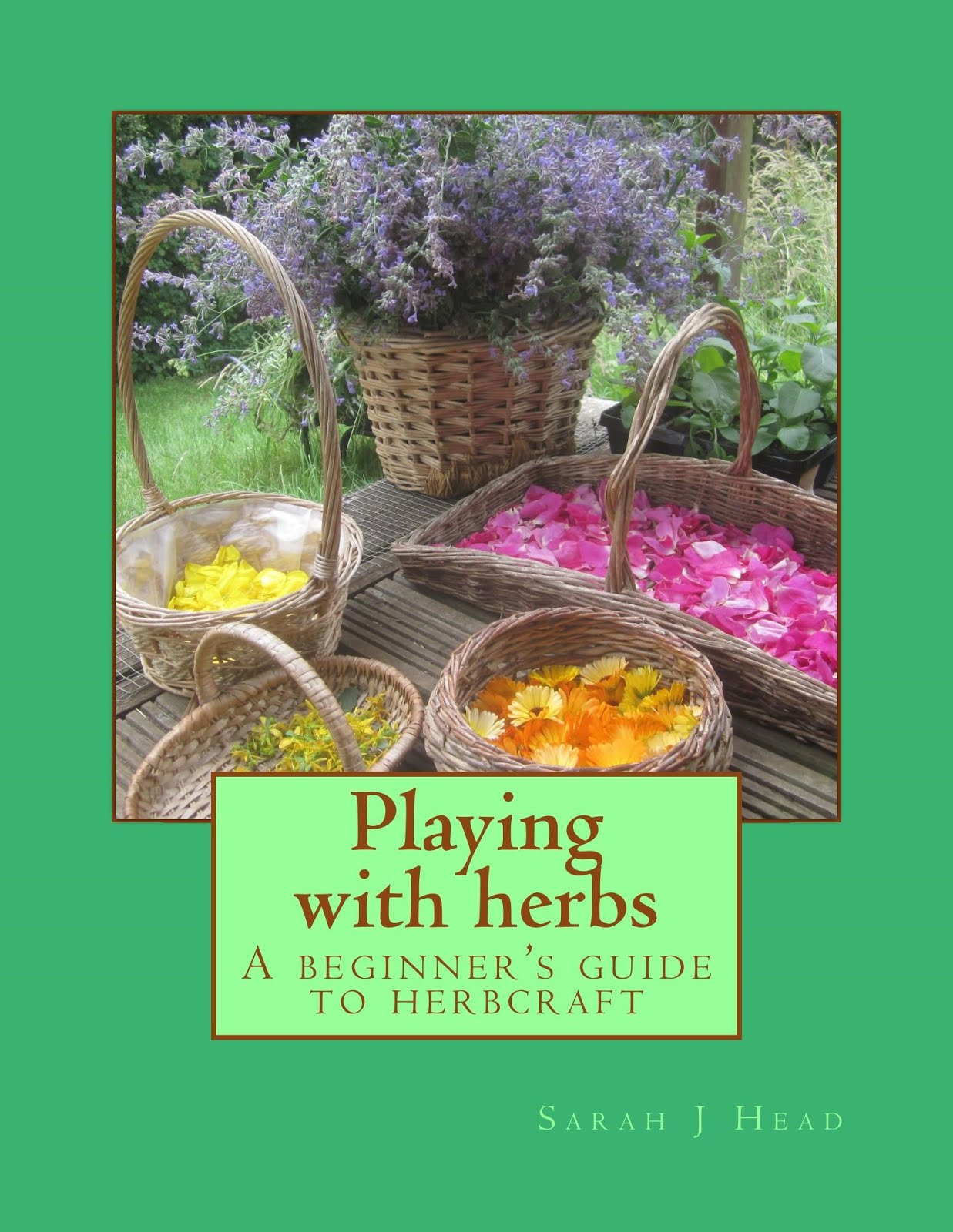 Playing with herbs