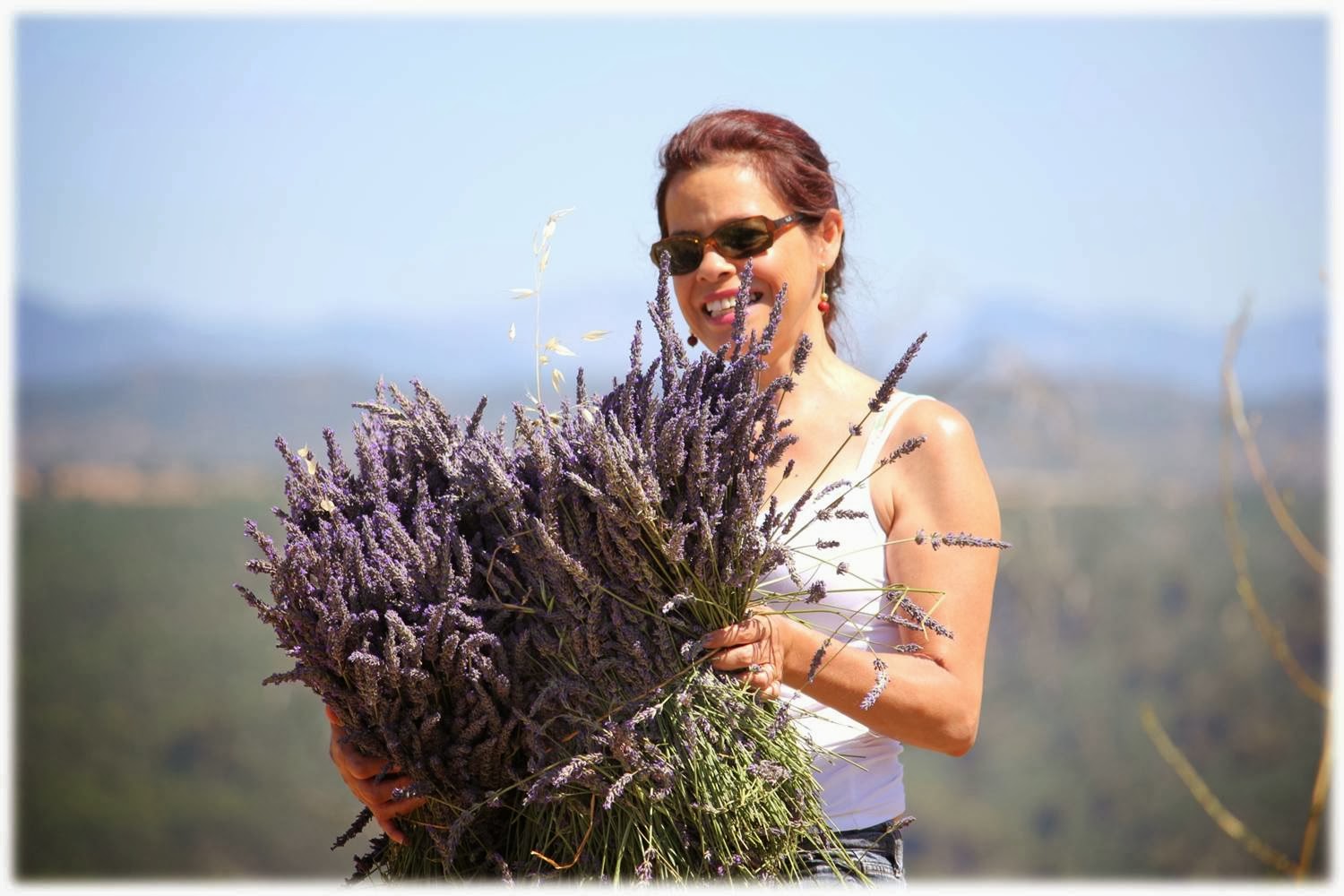 Lavanda a Planta que Encanta