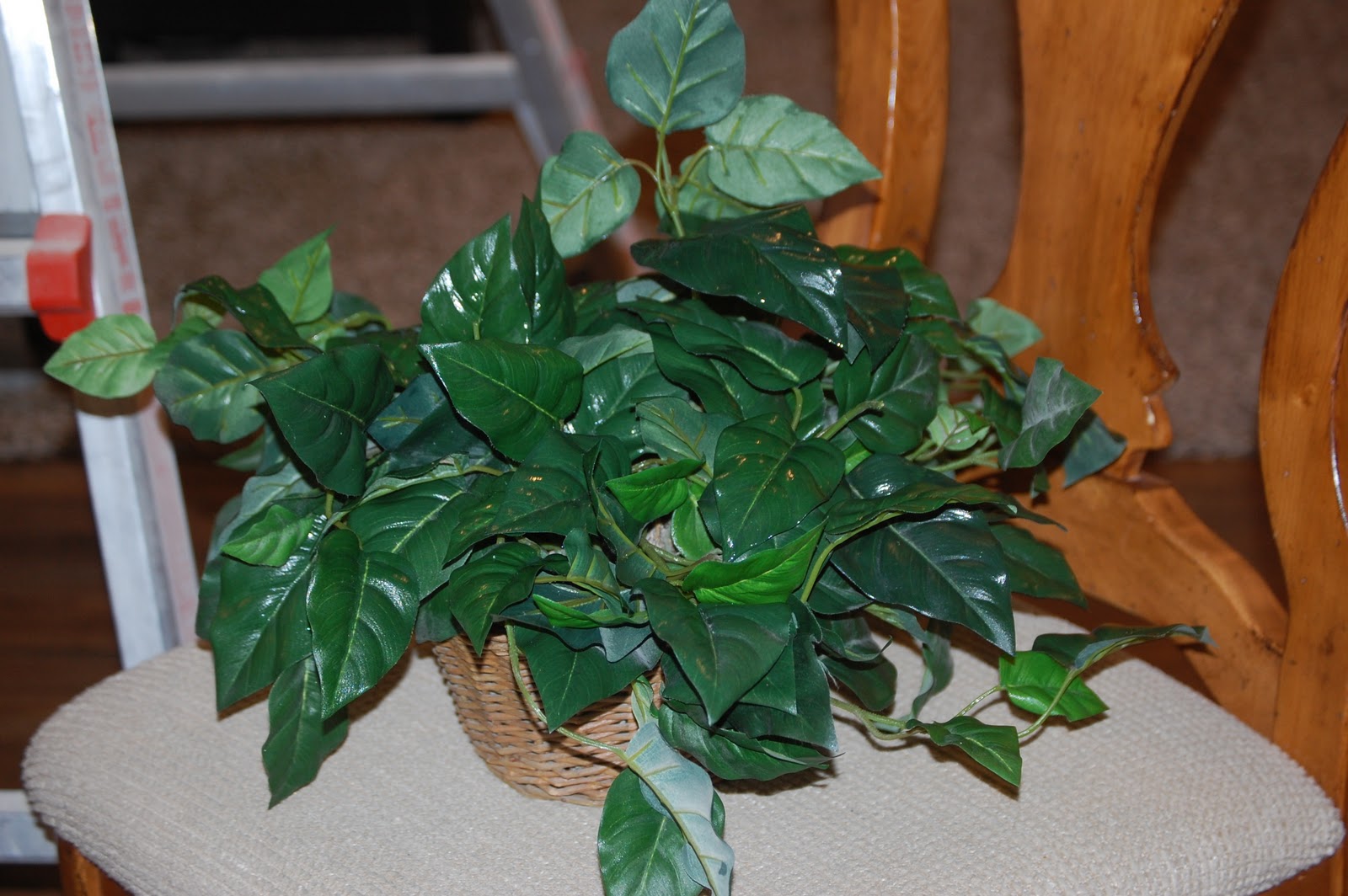 {Junk in their Trunk} How to Clean Your Fake Plants