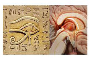 auge des horus links oder rechts auge des horus links oder rechts