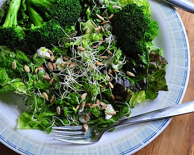 Lemony Broccoli & Lemon Vinaigrette in an Easy Supper Salad