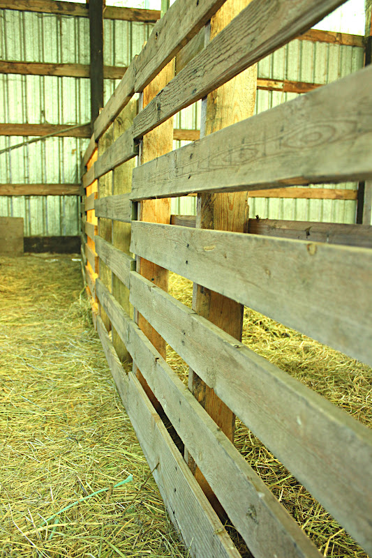 To Sing With Goats Redneck Fence