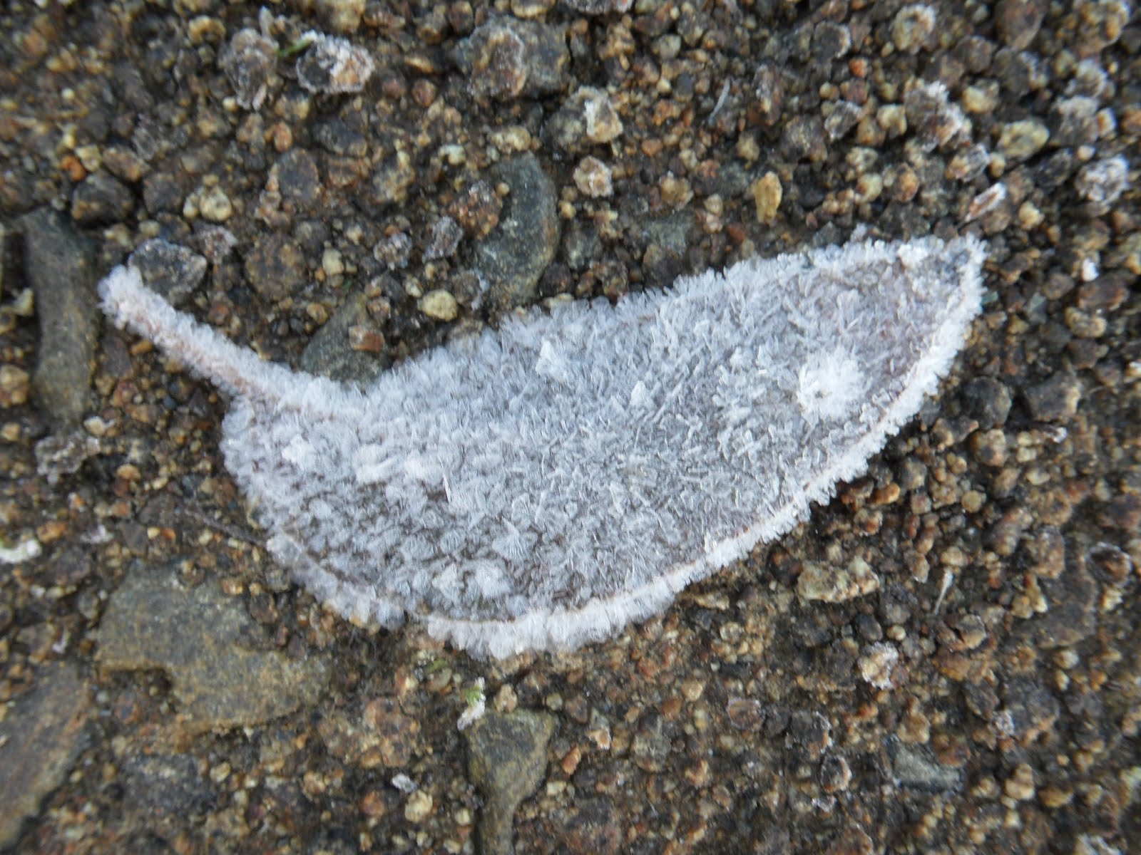 Frost Weathering