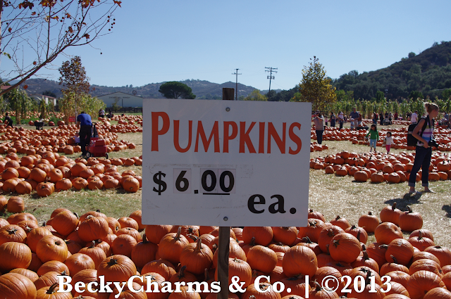 This Time Last Year - Bates Nut Farm Pumpkin Patch 2012 by BeckyCharms & Co. This Time Last Year - Bates Nut Farm Pumpkin Patch 2012 by BeckyCharms & Co.