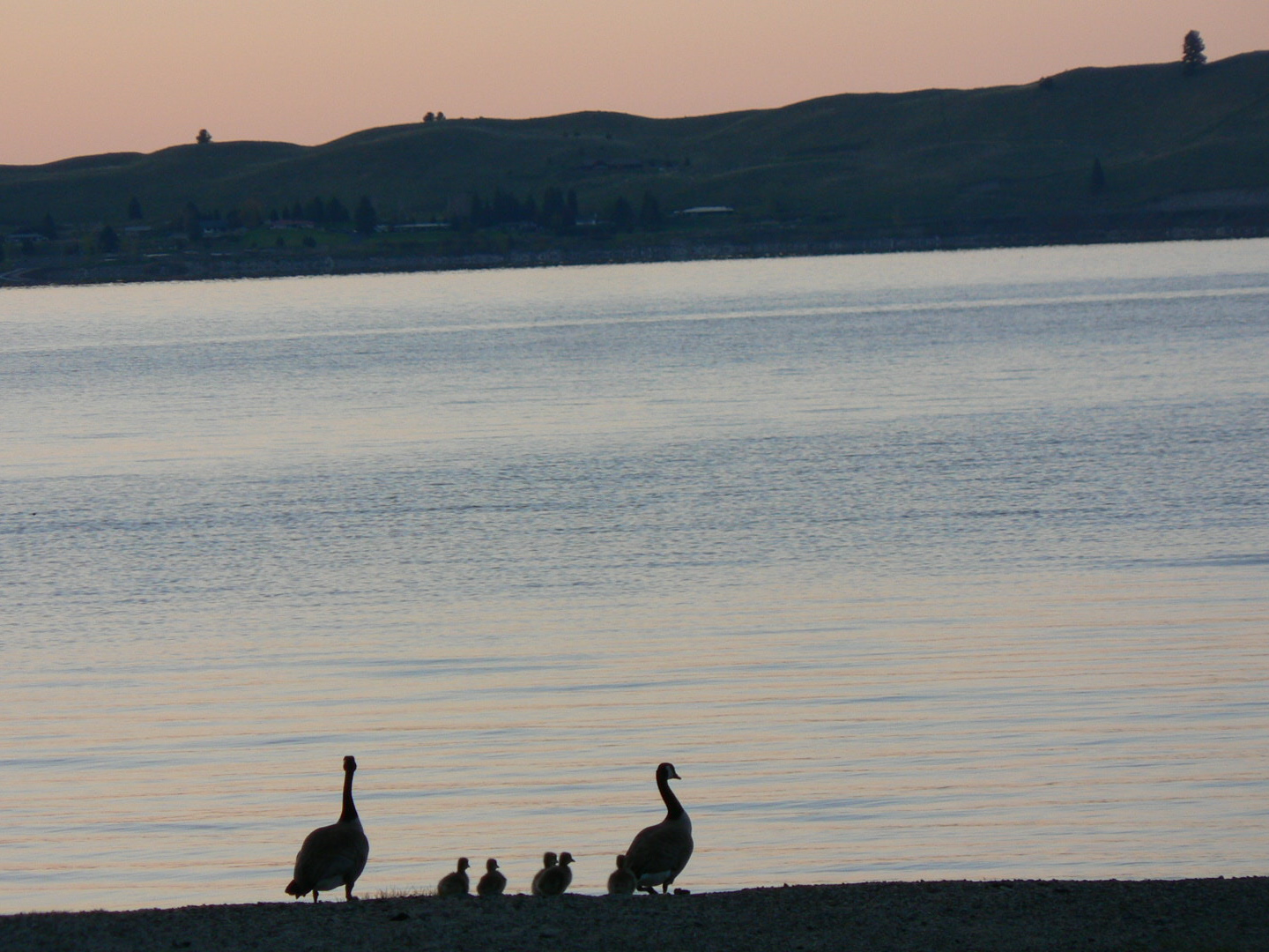 Grande Ronde River Mother's Day Float Winding Waters River Expeditions