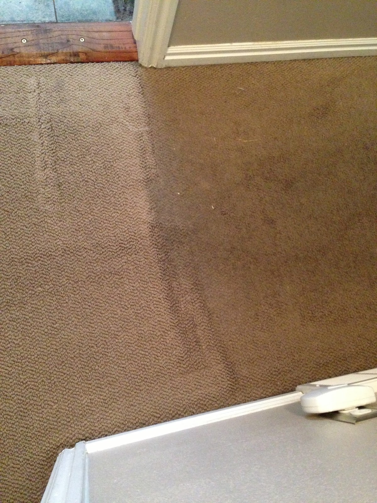 Utah County Mom EcoFresh Carpet Care Review and Giveaway (ENDED)