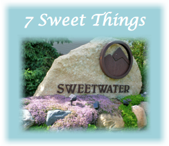 7 Sweet Things