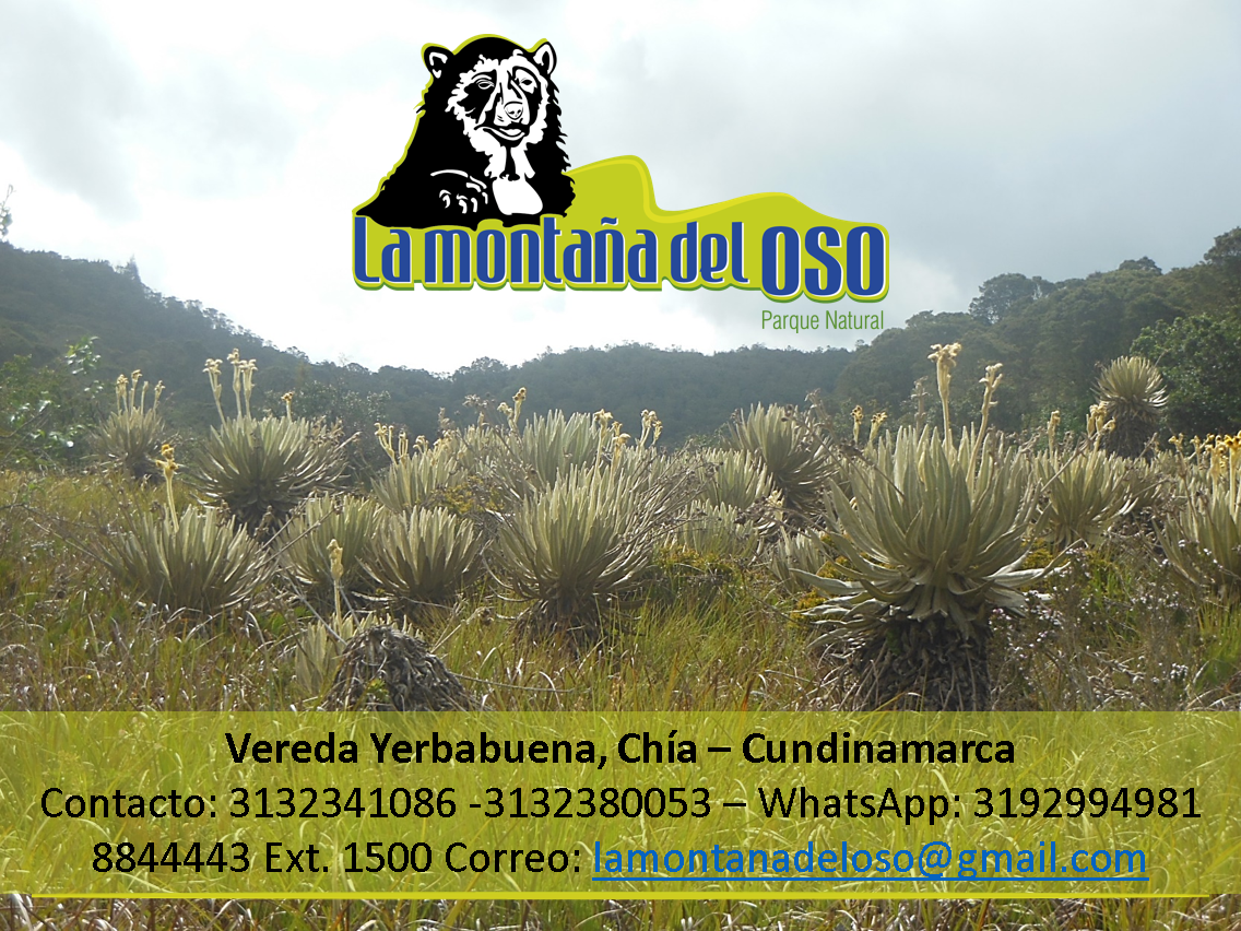 La Montaña del Oso