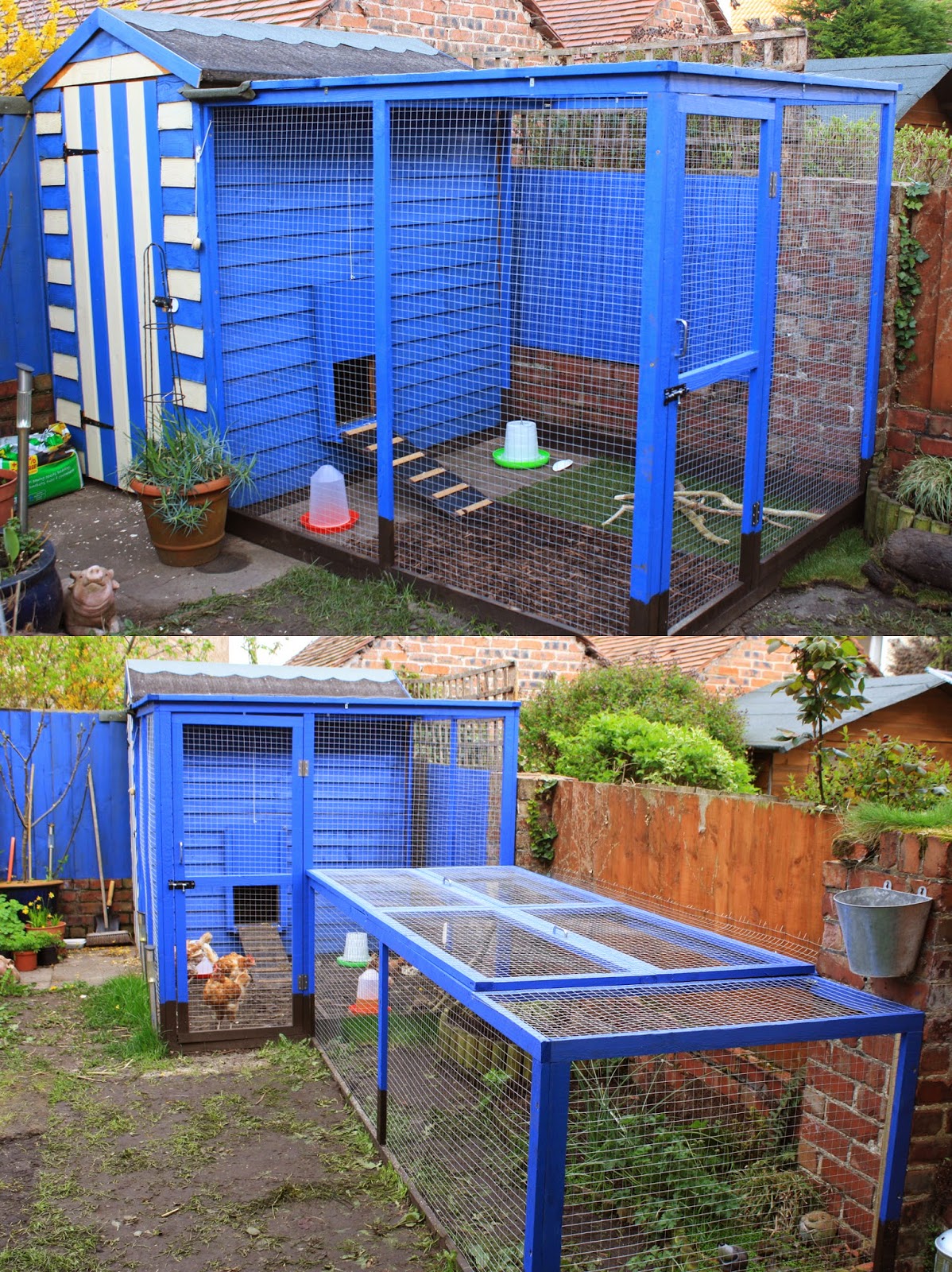 Allotment 65 Chicken run extension