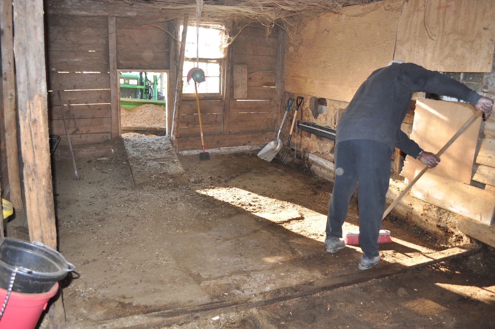 Mainely Ewes Farm Every Goat Needs A Clean Stall