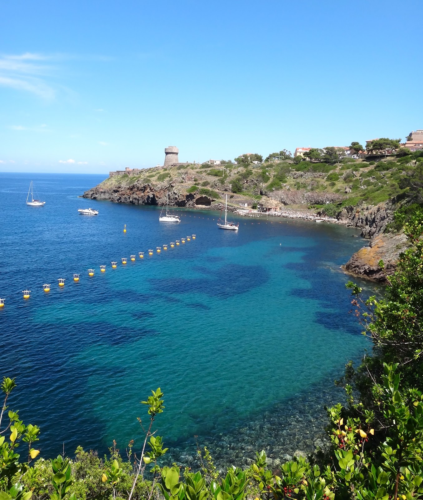 Capraia Isola