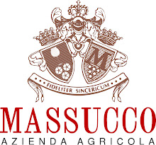 Winery MASSUCCO