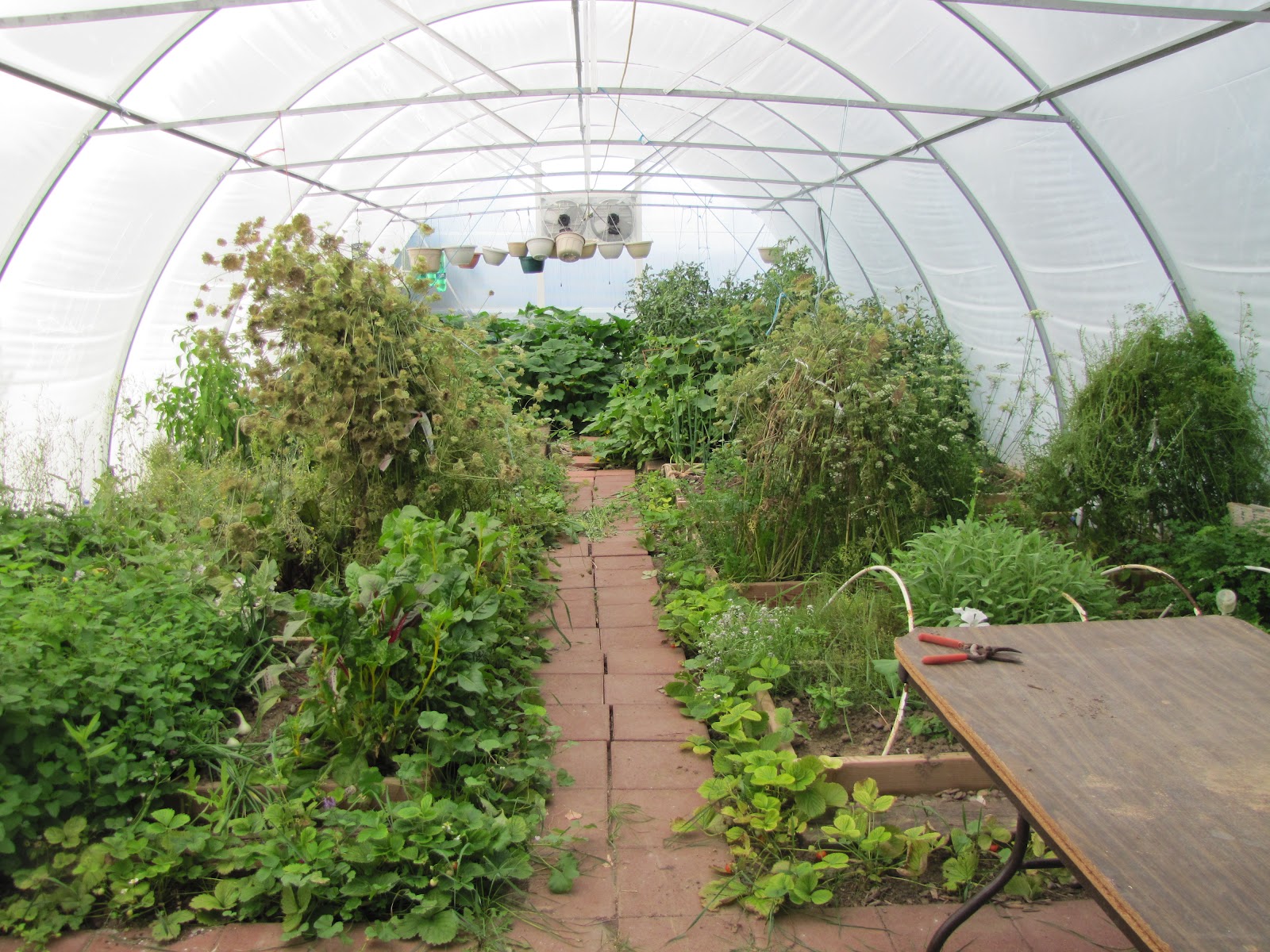 year round greenhouse living room