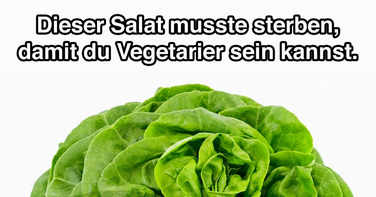 Vegetarisch Vegane Lebenswelten 2013
